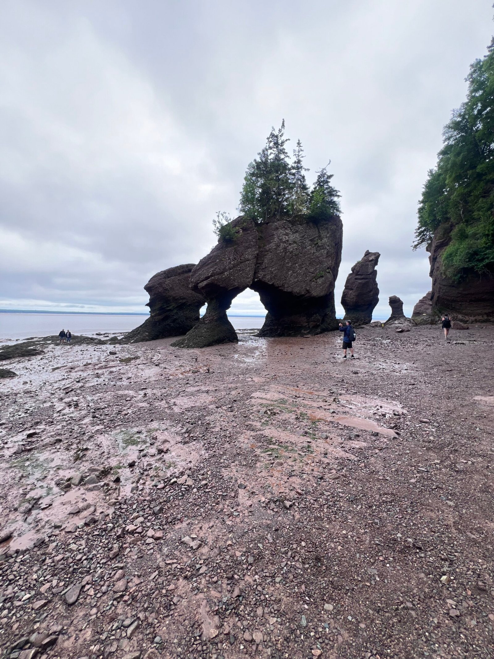 Tips for Exploring Bay of Fundy at Hopewell Rocks Hopewell Rocks (Flowerpots)
