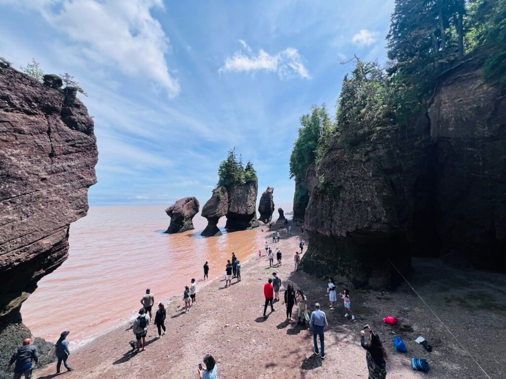 Tips for Exploring Bay of Fundy at Hopewell Rocks img 8732