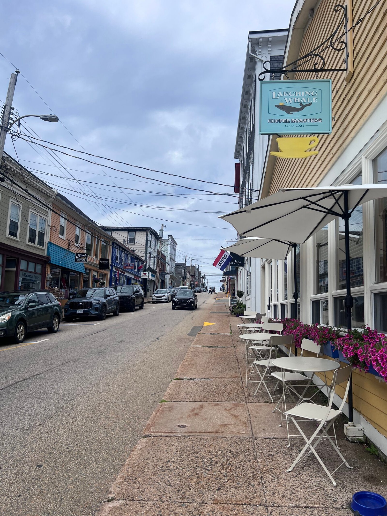 Exploring Nova Scotia's South Shore- Lunenburg and Peggy’s Cove img 8882
