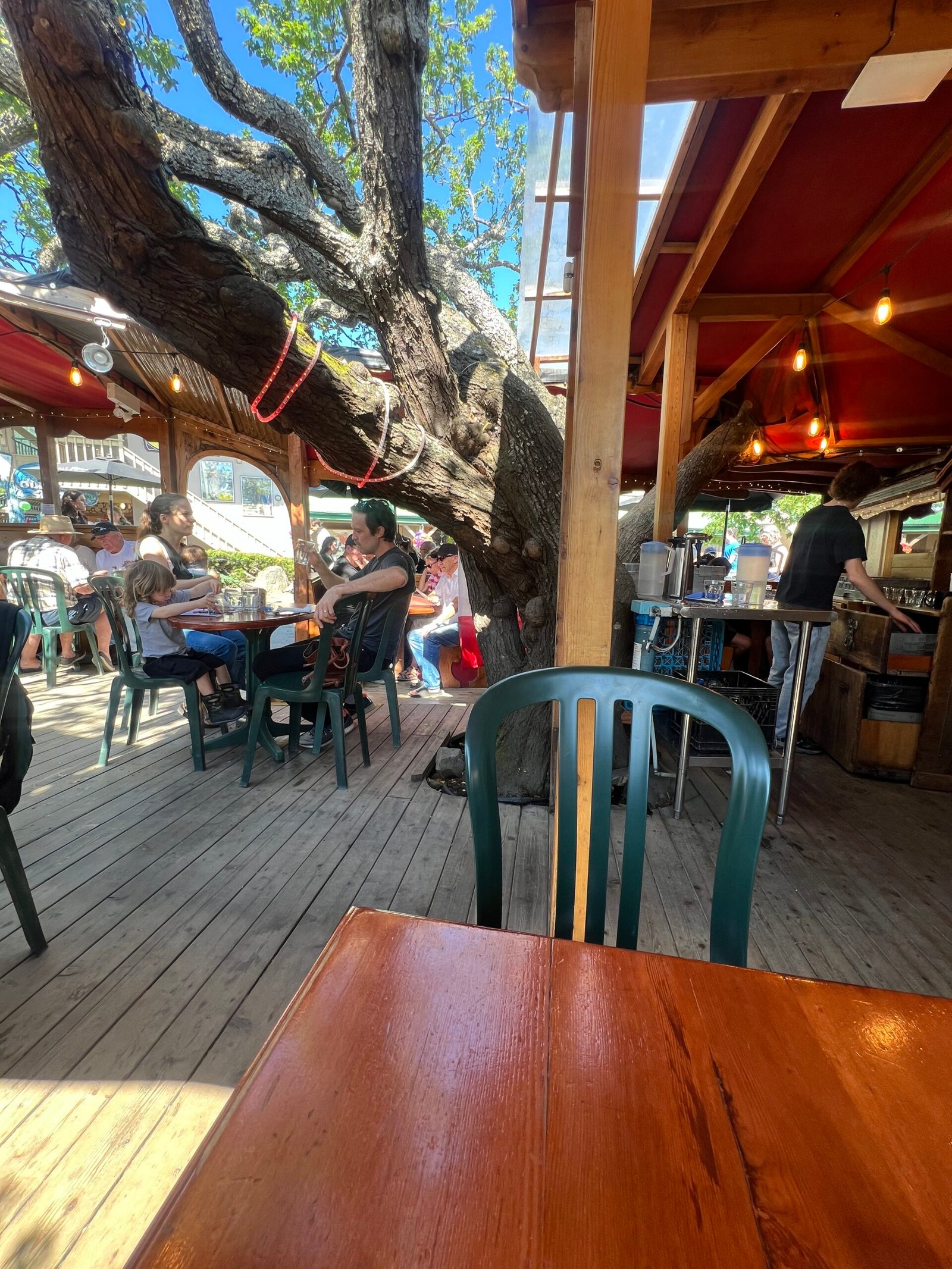 Tree House Cafe