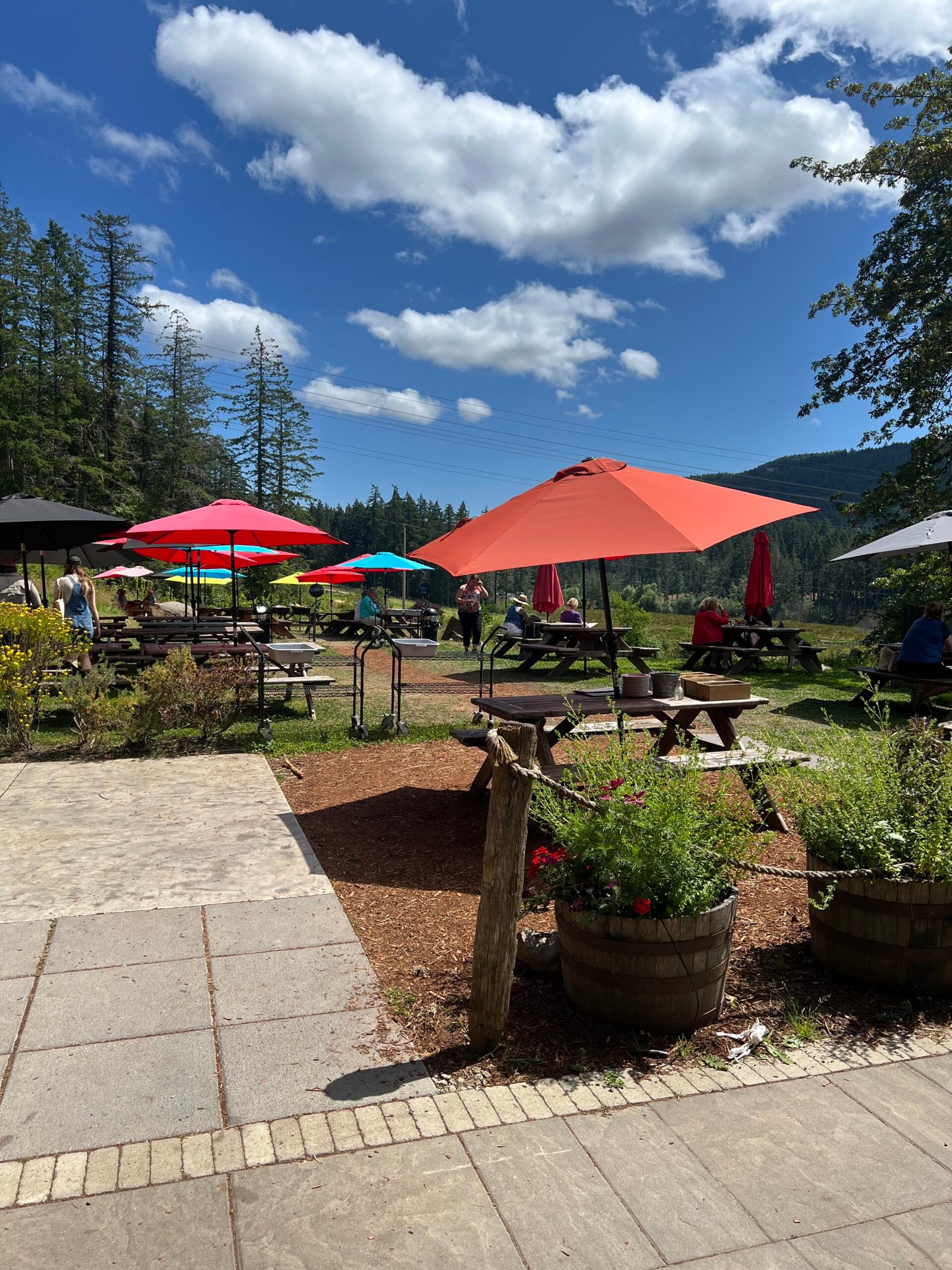 Salt Spring Wild Cider
