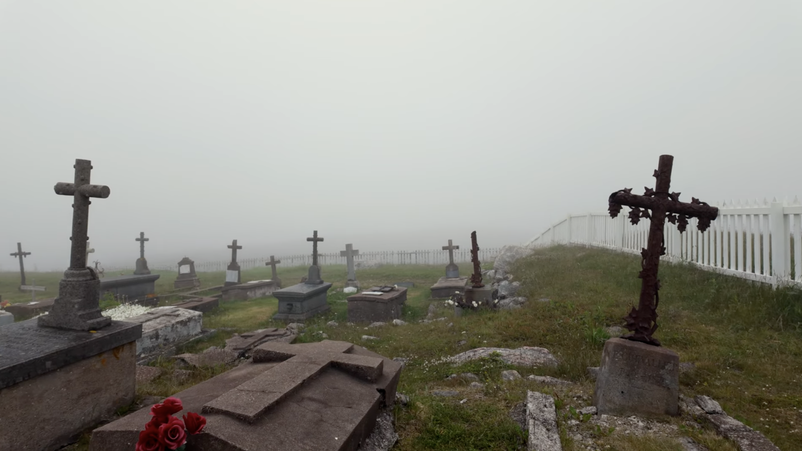 Île aux Marins: The Fog-Covered Ghost Island Near Saint-Pierre screenshot 2026 03 14 at 3.59.48 pm