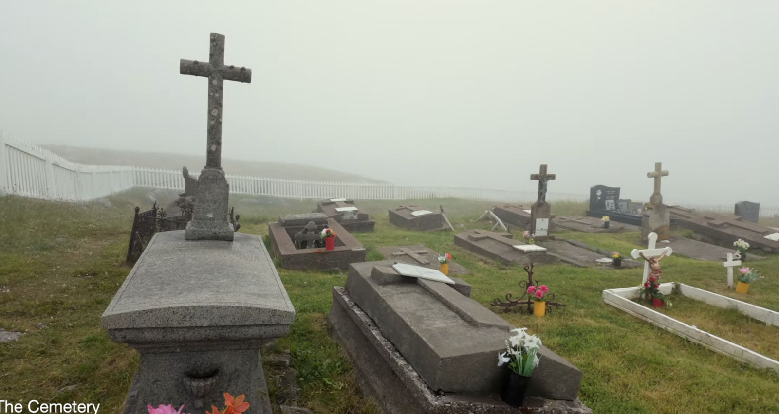 Île aux Marins: The Fog-Covered Ghost Island Near Saint-Pierre screenshot 2026 03 14 at 4.06.45 pm