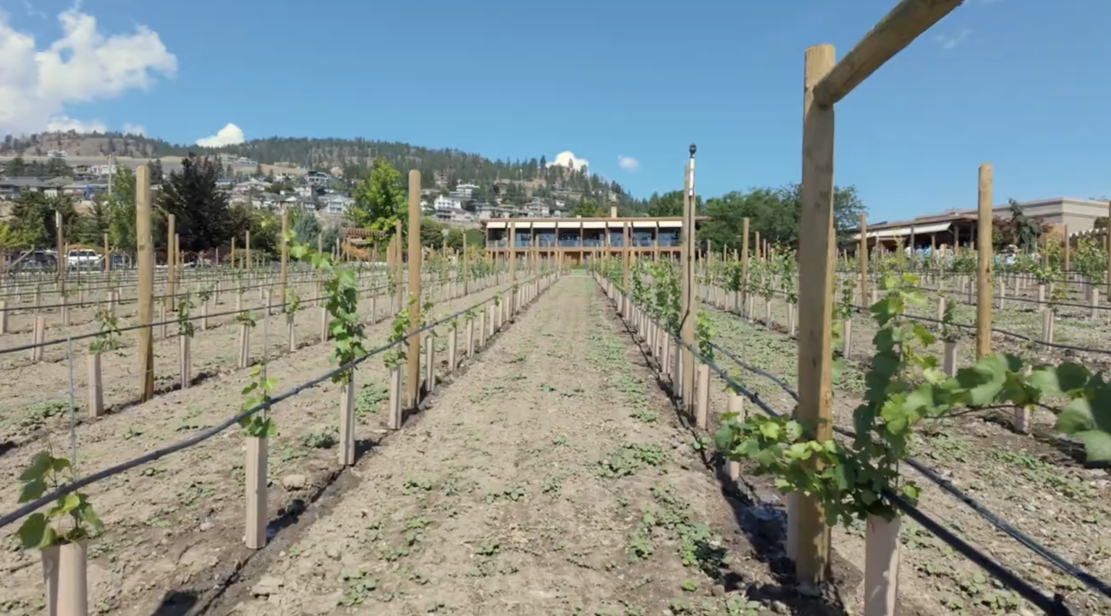 7 Must-Do Activities in Kelowna: The Ultimate Okanagan Valley Travel Guide screenshot 2026 03 15 at 7.38.49 am