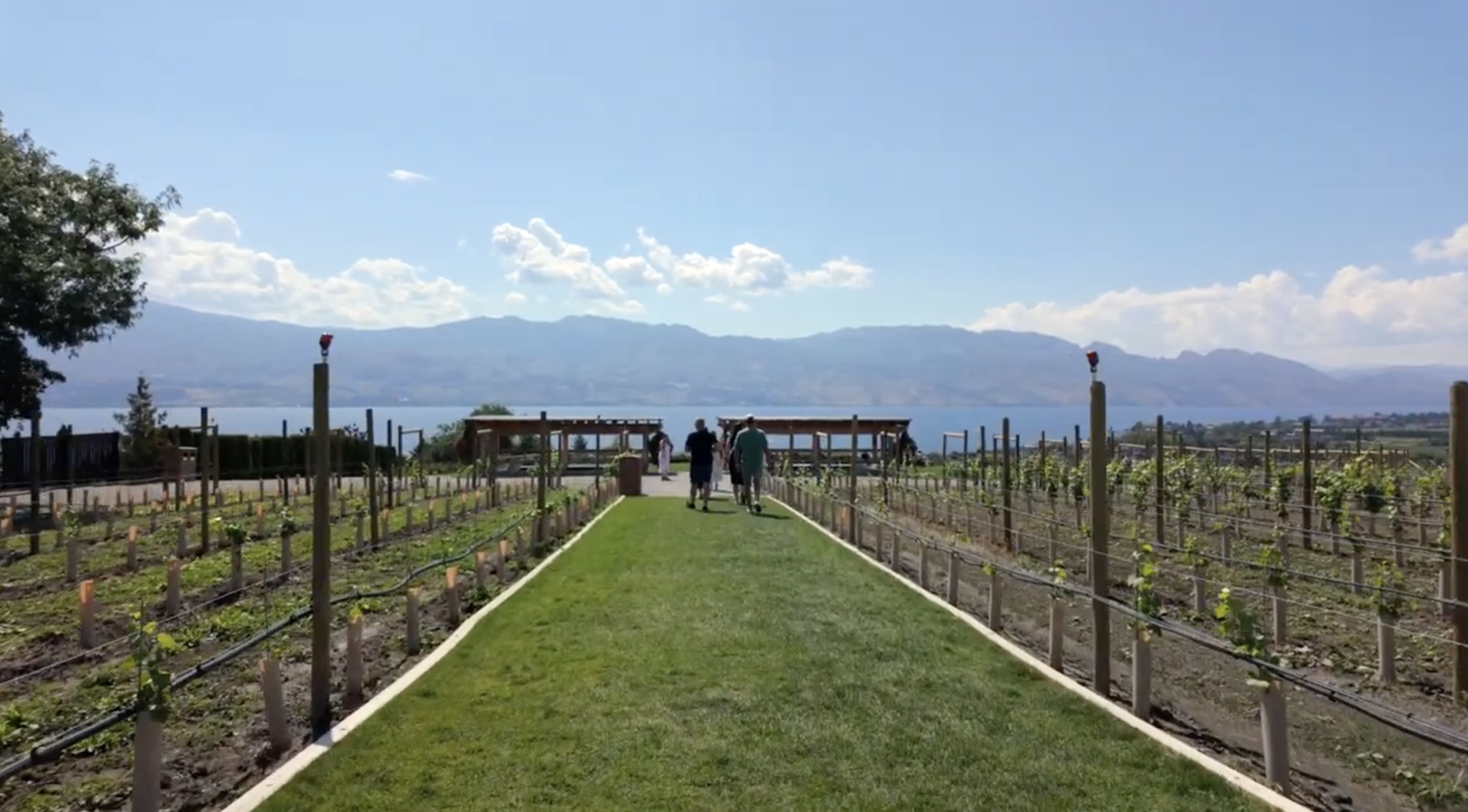 7 Must-Do Activities in Kelowna: The Ultimate Okanagan Valley Travel Guide screenshot 2026 03 15 at 7.39.39 am