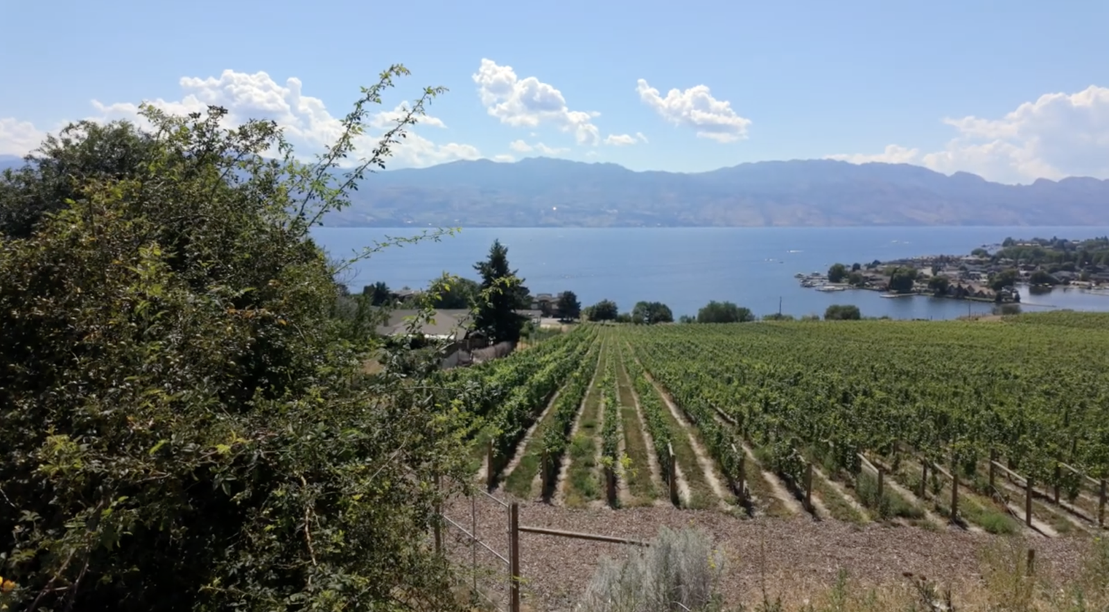 7 Must-Do Activities in Kelowna: The Ultimate Okanagan Valley Travel Guide screenshot 2026 03 15 at 7.40.00 am